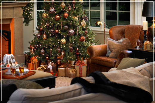 The Vermont White Spruce Tree from the Vermont Signature™ Collection