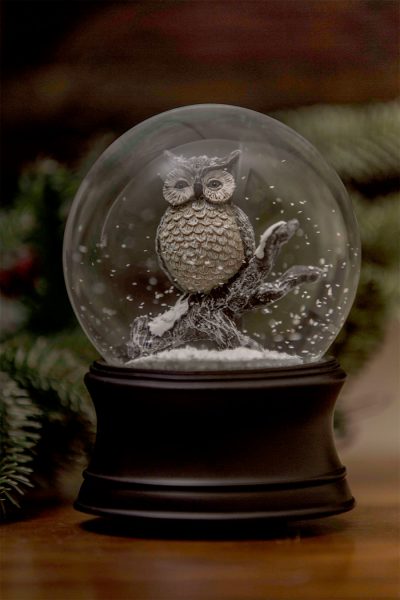 owl snow globe