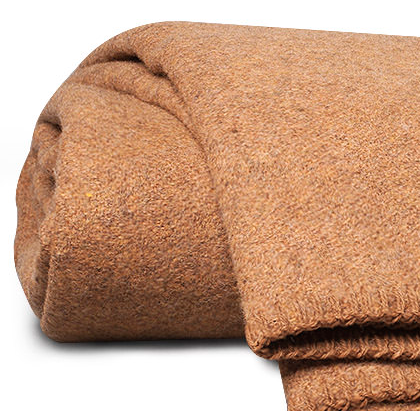 Pendleton Wool Blanket from Balsam Hill