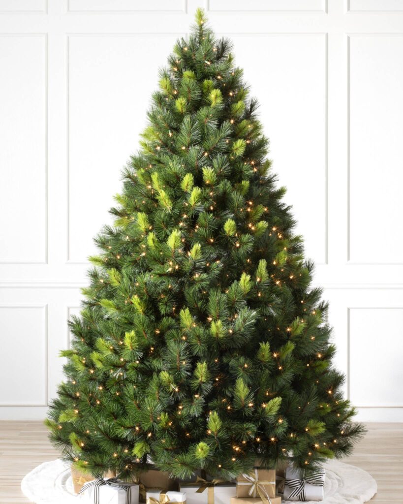 Most Popular Christmas Trees of All Time Balsam Hill Blog