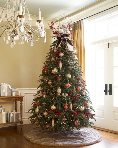 The BH Noble Fir is a classic among full-shaped trees
