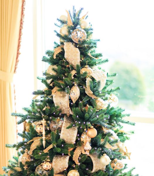 4 Stunning Christmas Tree Looks with the Biltmore Collection [Video ...