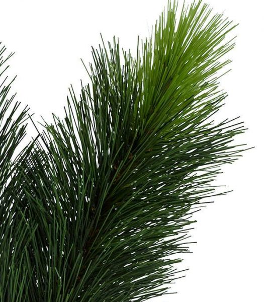 Fir, Spruce, or Pine? How to Tell Evergreens Apart - | Balsam Hill Blog ...
