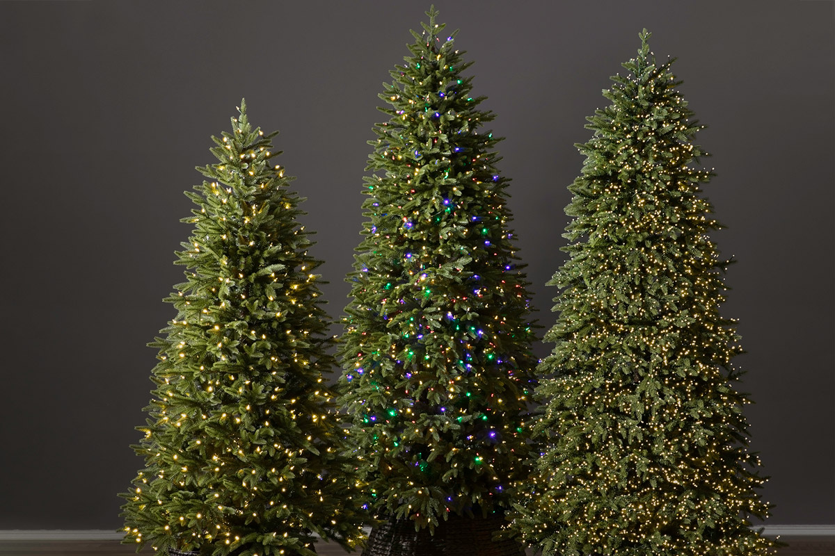 Christmas tree lights of different types