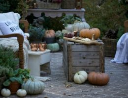 Pumpkins on top of a wooden box used a makeshift table