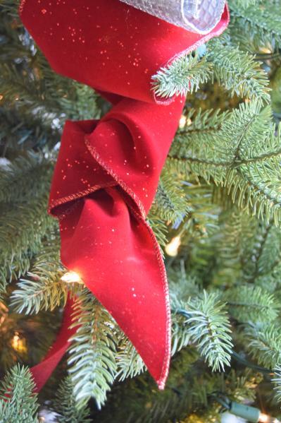 red ribbon on tree