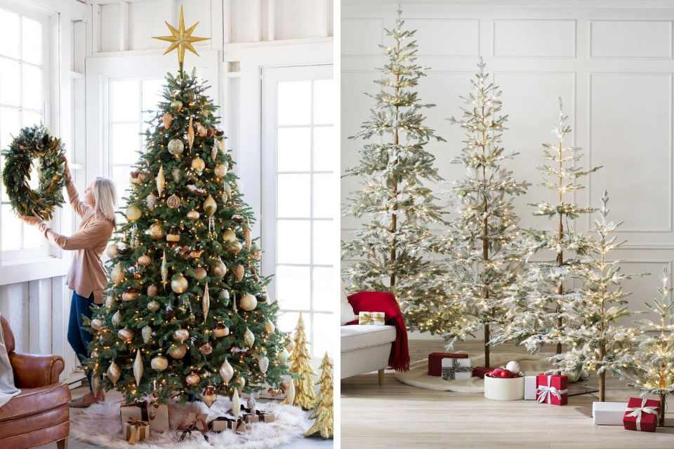 best 10 real christmas tree ideas on pinterest real xmas ...