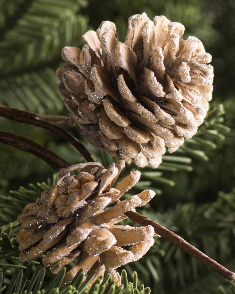 Frosted Winter Pine Cone Christmas Tree Picks