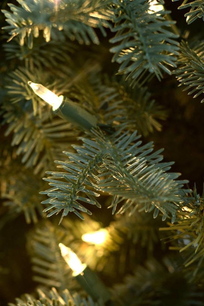 A close-up shot of Balsam Hill Balsam Fir Christmas Tree