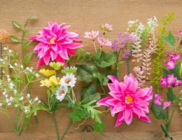 flowers and their meanings featuring balsam hill flowers