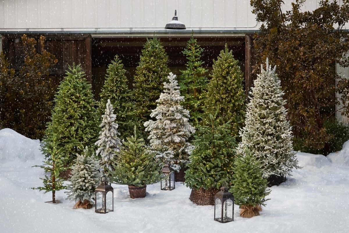 A group of small and big artificial Christmas trees in a snowy garage