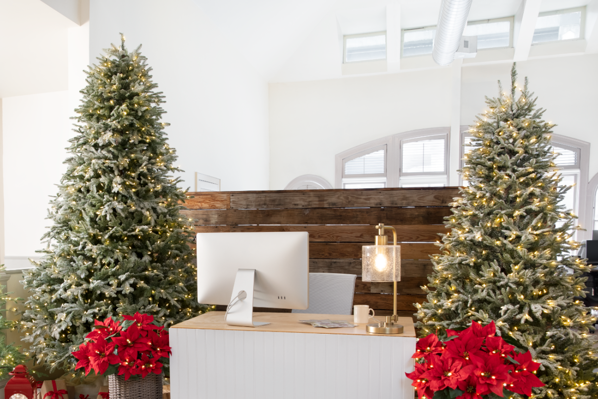 Office reception area flanked by Christmas trees