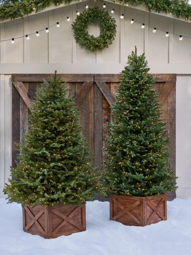 BH Balsam Fir and Vermont White Spruce Balsam Hill trees