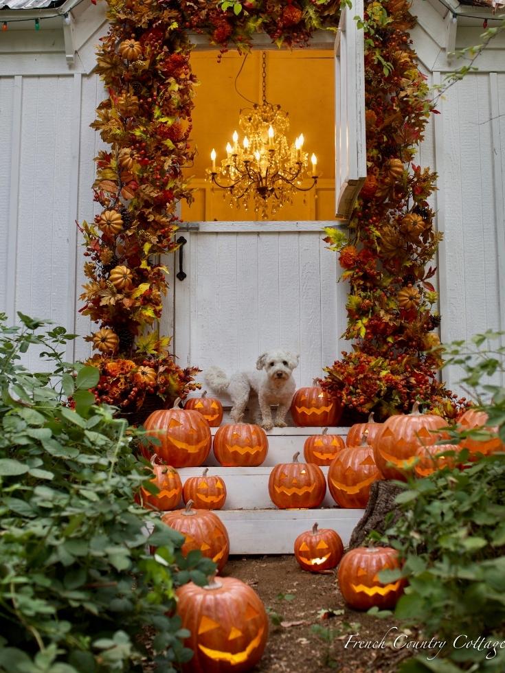 A white dog on the porch steps surrounded by Jack-o'-Lanterns and fall garlands